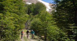 Glamping y tiny houses en una reserva de montaña al pie de un bosque de lengas y viejos caminos mineros