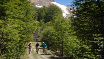 Glamping y tiny houses en una reserva de montaña al pie de un bosque de lengas y viejos caminos mineros