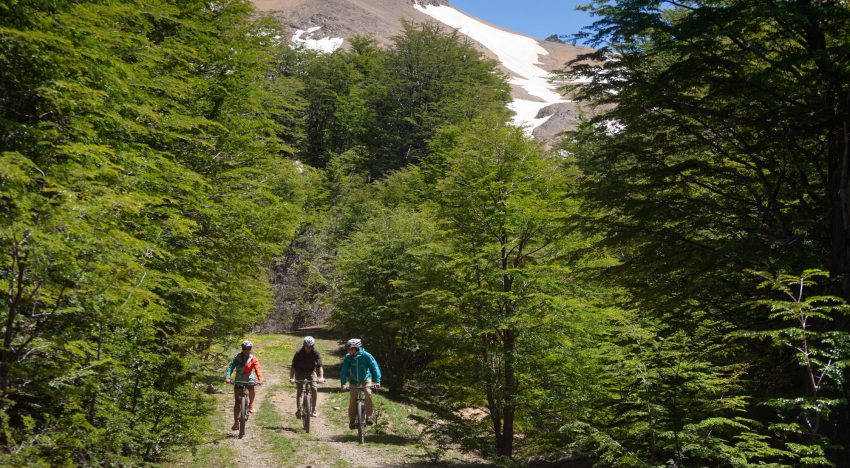 Glamping y tiny houses en una reserva de montaña al pie de un bosque de lengas y viejos caminos mineros