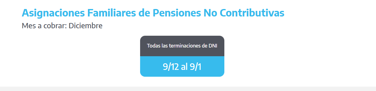 Cuándo cobro las asignaciones familiares diciembre 2024 (Foto: ANSES)