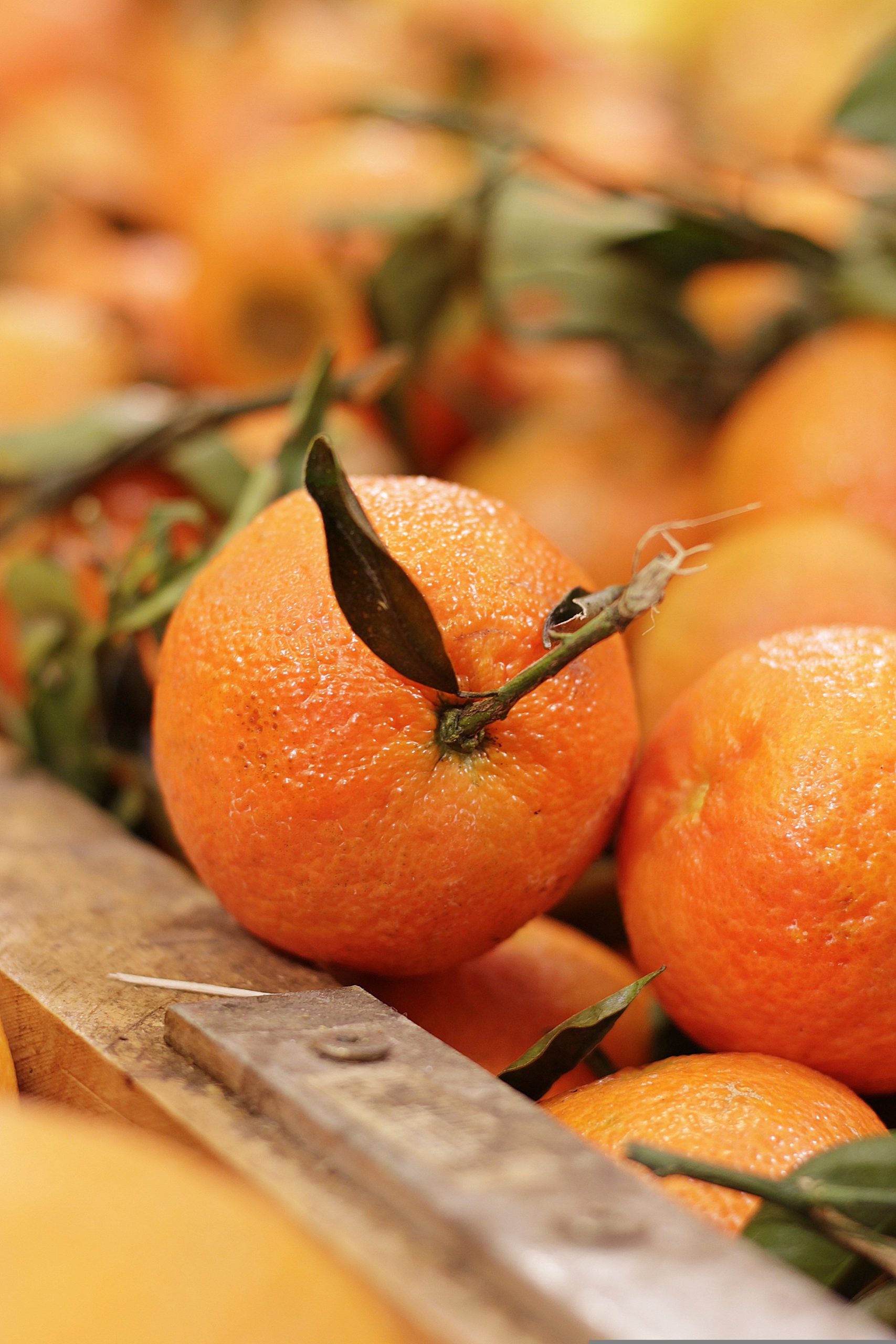 El jugo de naranja, cargado de vitamina C, fortalece el sistema inmunológico y promueve una piel más saludable