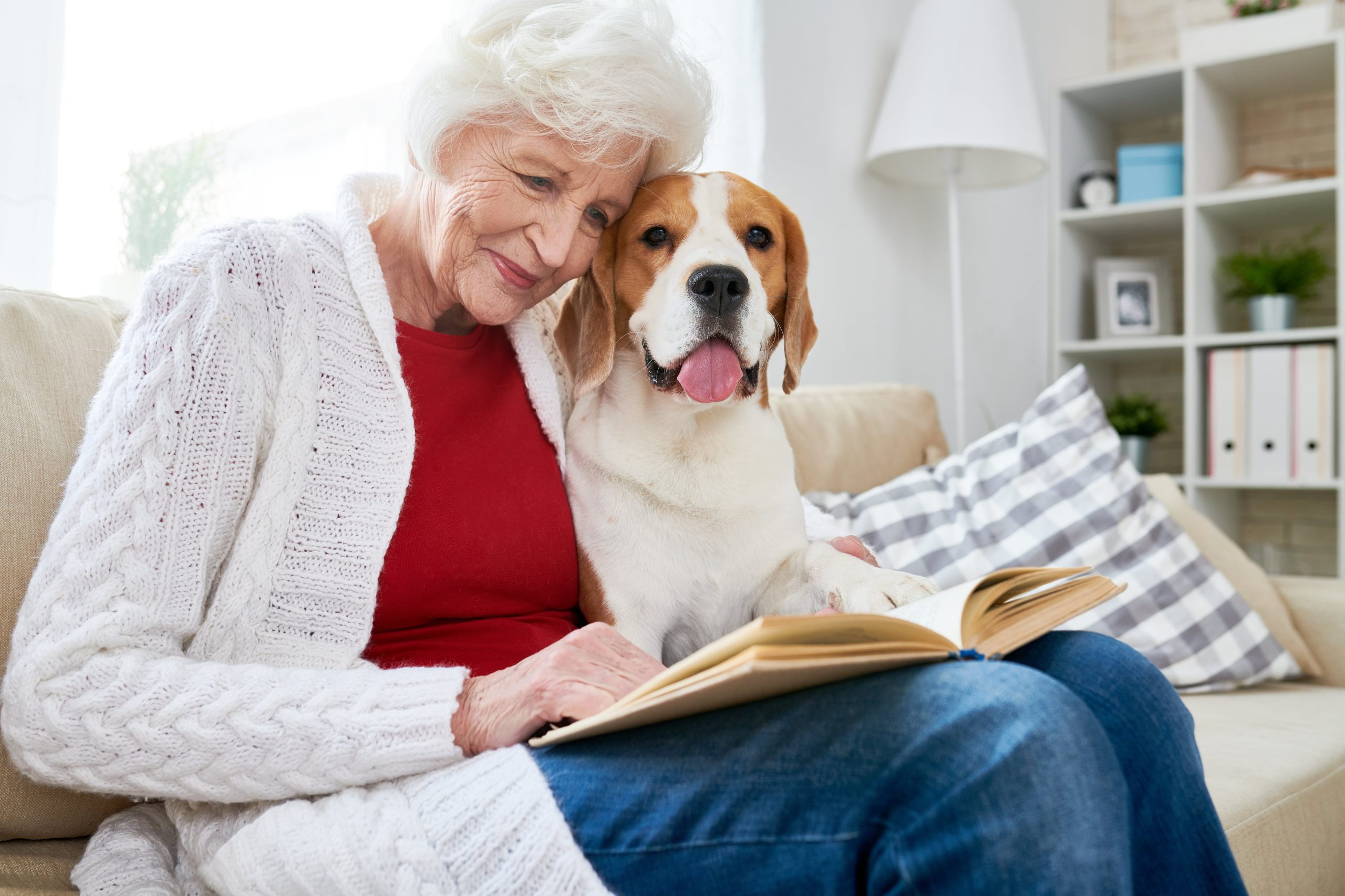 El perro es una gran compañía para personas de todas las edades, pero cuando adopta el hábito de orinar dentro de la casa se genera un serio problema. (Foto: Adobe Stock)