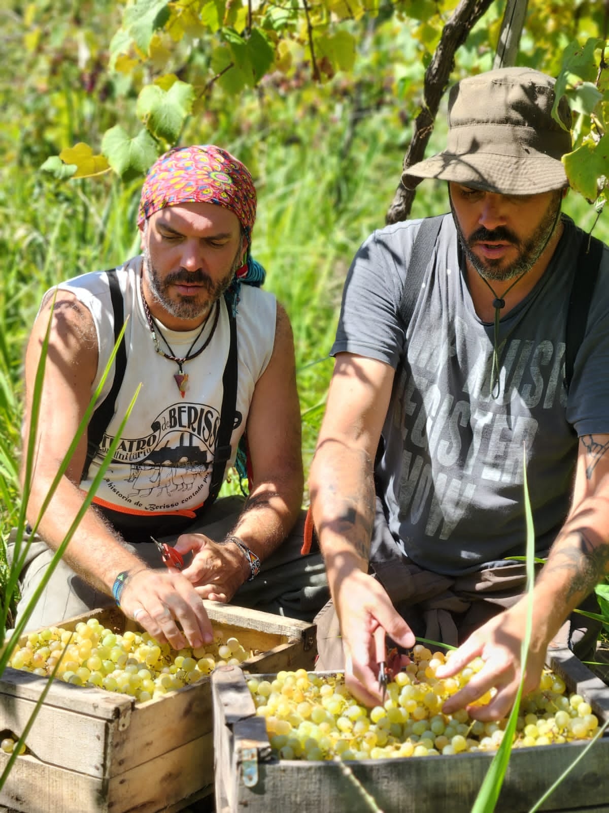 Martín y Sebastián Casali son productores en Berisso.