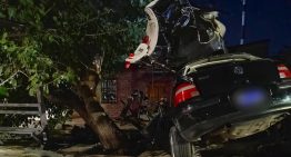 Mendoza: quiénes eran los cuatro chicos que murieron tras perder el control del auto y chocar contra un árbol