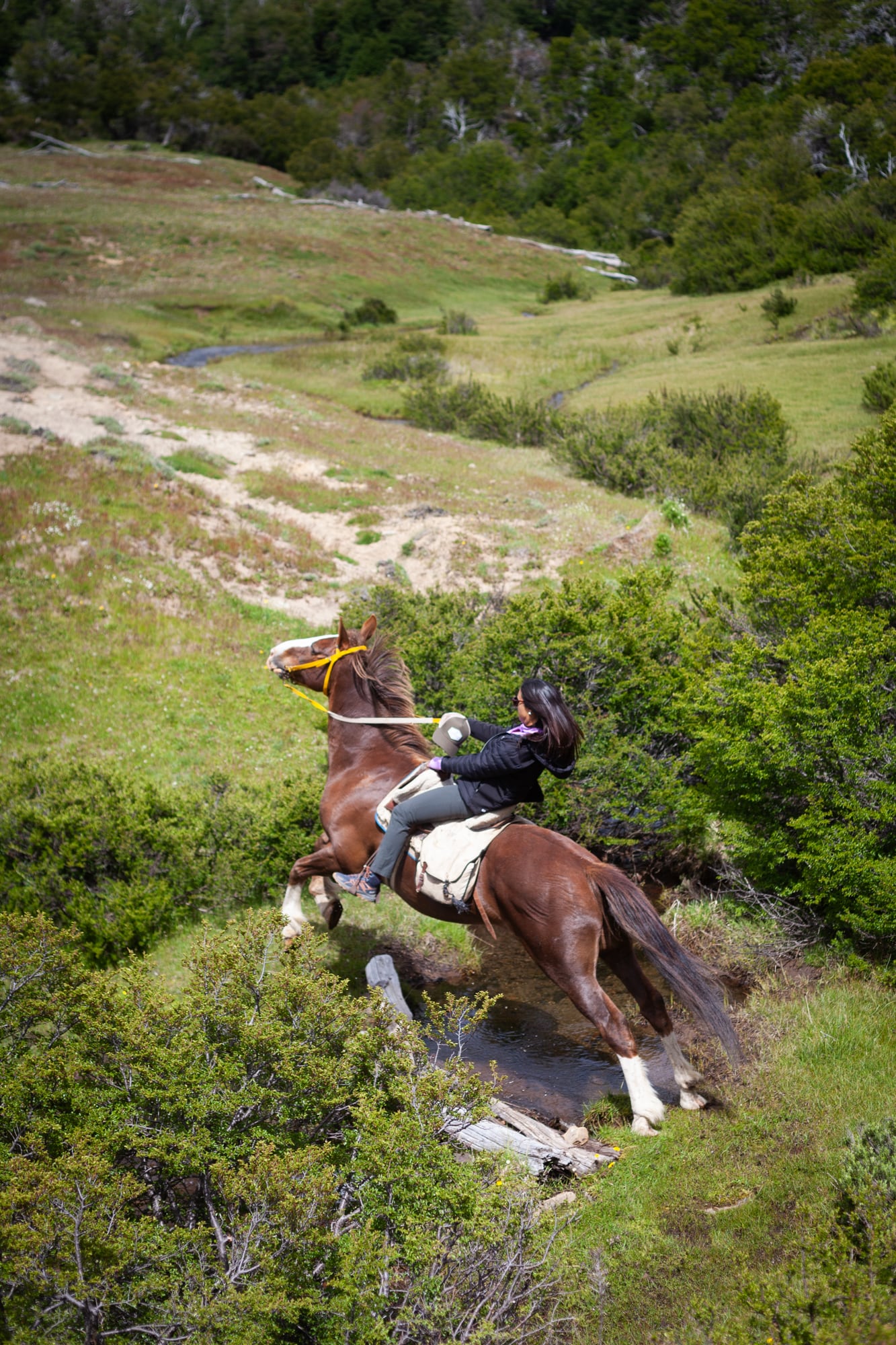 Cabalgata en Huemules.