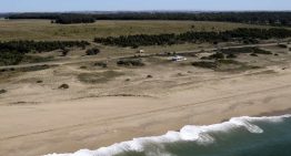 Eduardo Costantini contó a LA NACION por qué compró el campo que fue de Lázaro Báez en Punta del Este