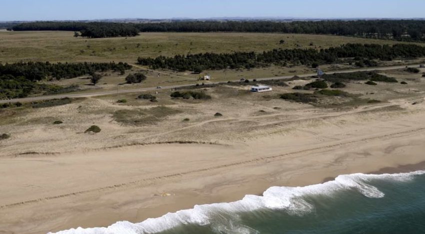 Eduardo Costantini contó a LA NACION por qué compró el campo que fue de Lázaro Báez en Punta del Este