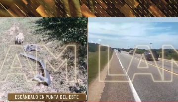 El video del accidente que Francisco Tinelli sufrió tras eludir un control policial en Punta del Este