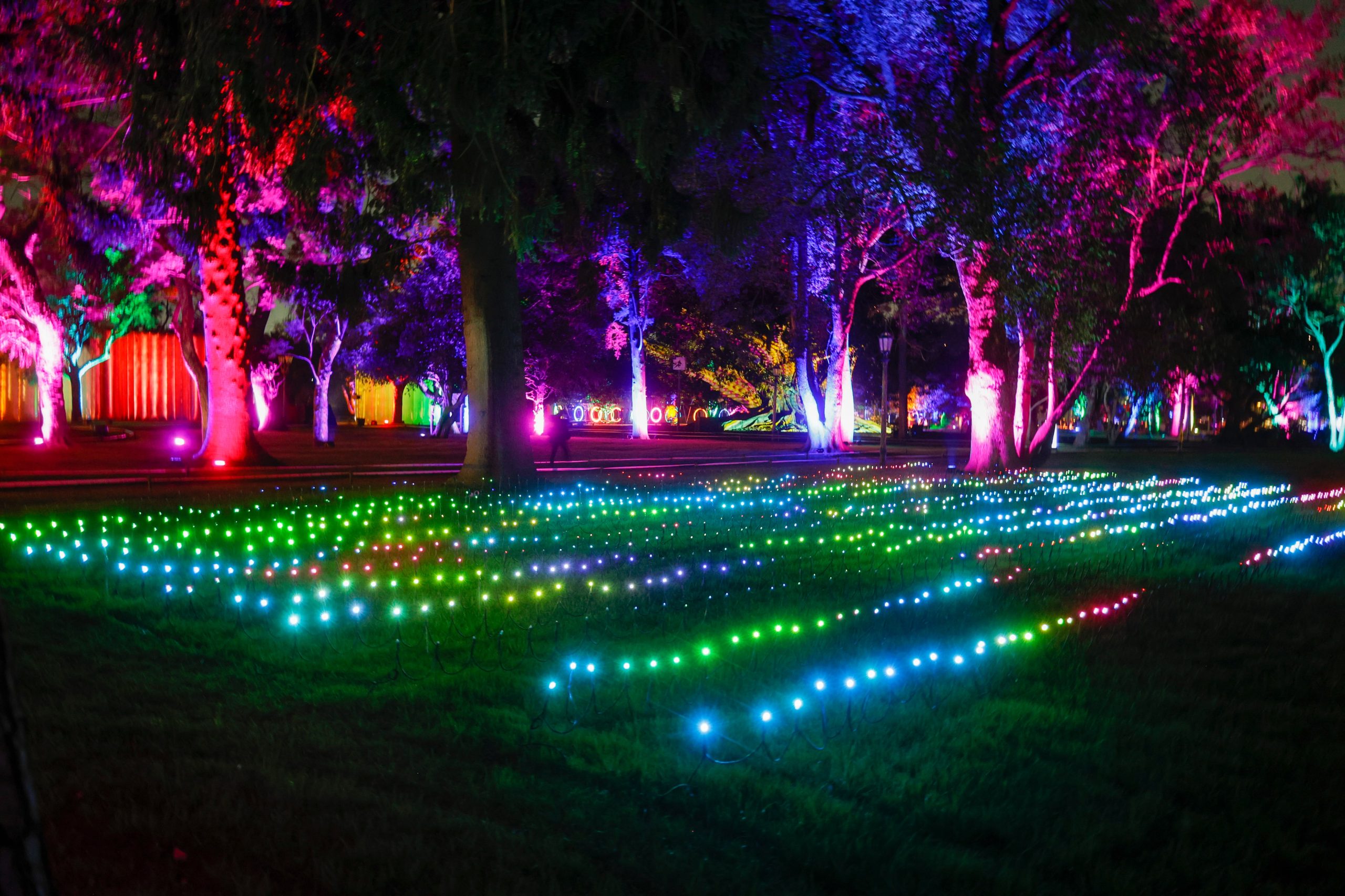 Secret Garden llenó de luces y colores el Rosedal de Palermo y el Jardín Botánico