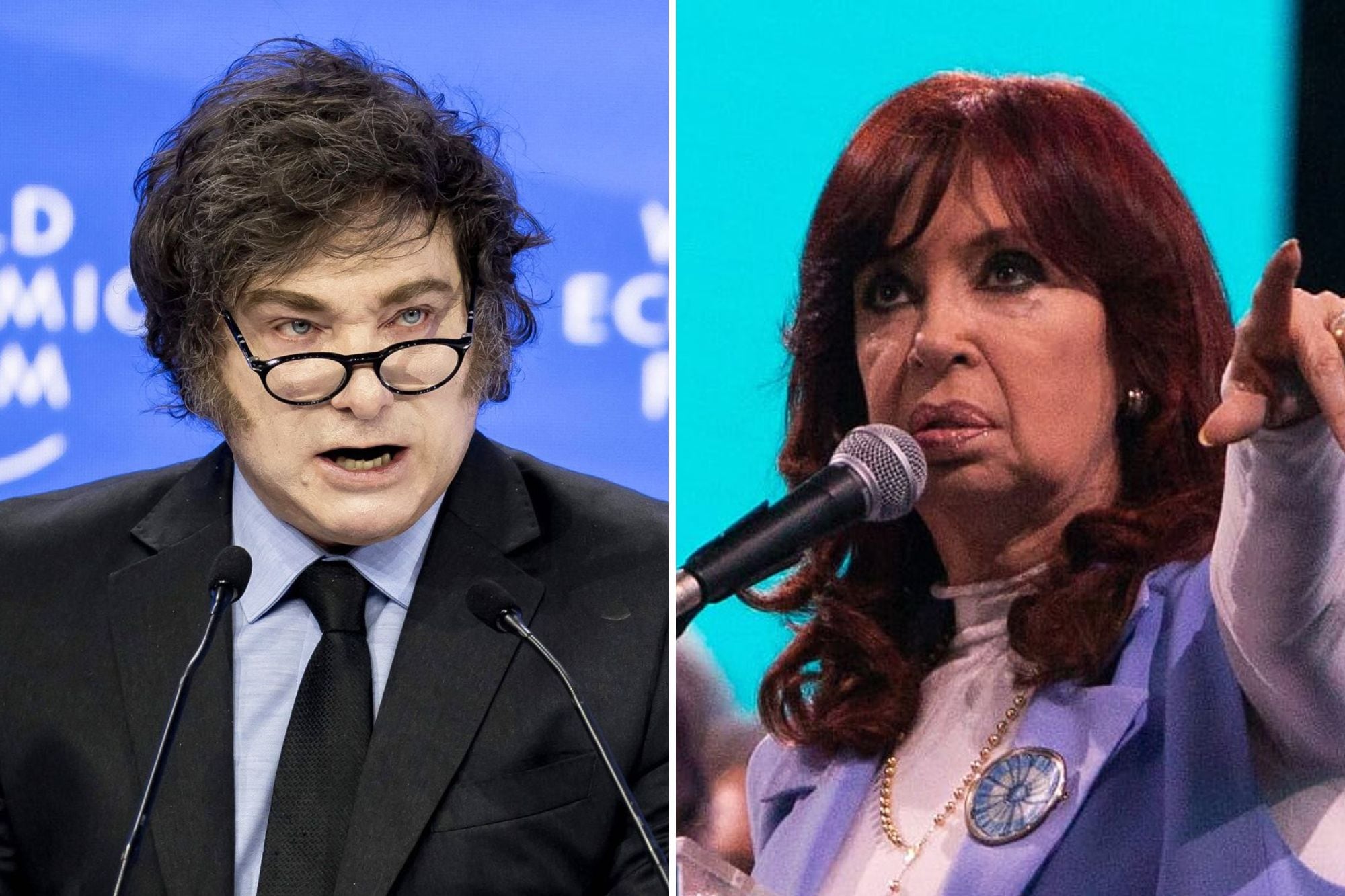 Javier Milei y Cristina Kirchner