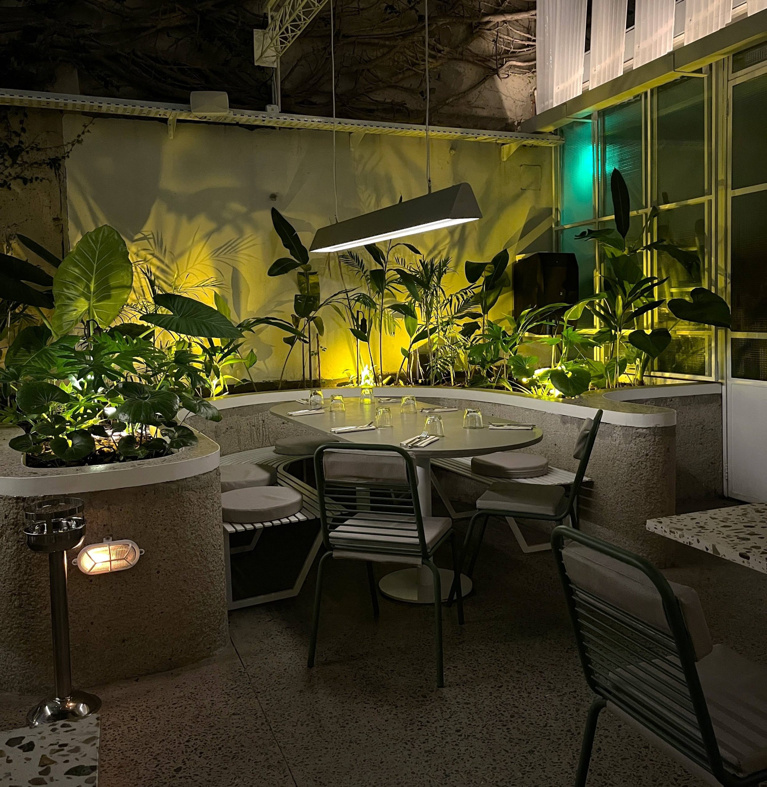 De noche, el patio se ilumina suavemente y se realza la vegetación.