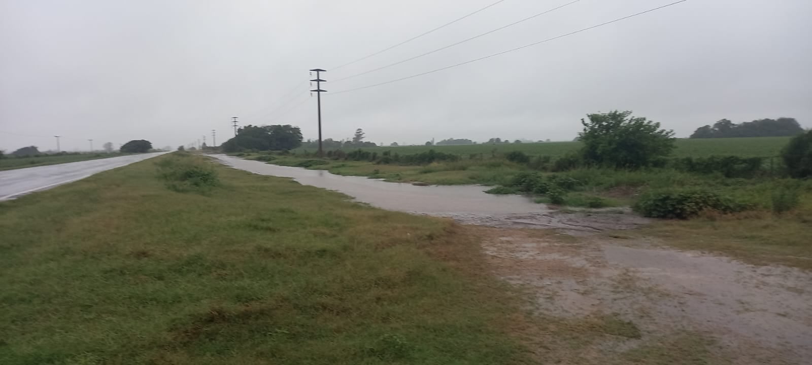 Las recientes lluvias trajeron alivio a los productores del norte de Buenos Aires, favoreciendo la recuperación de la soja y el maíz. (Foto: TN).