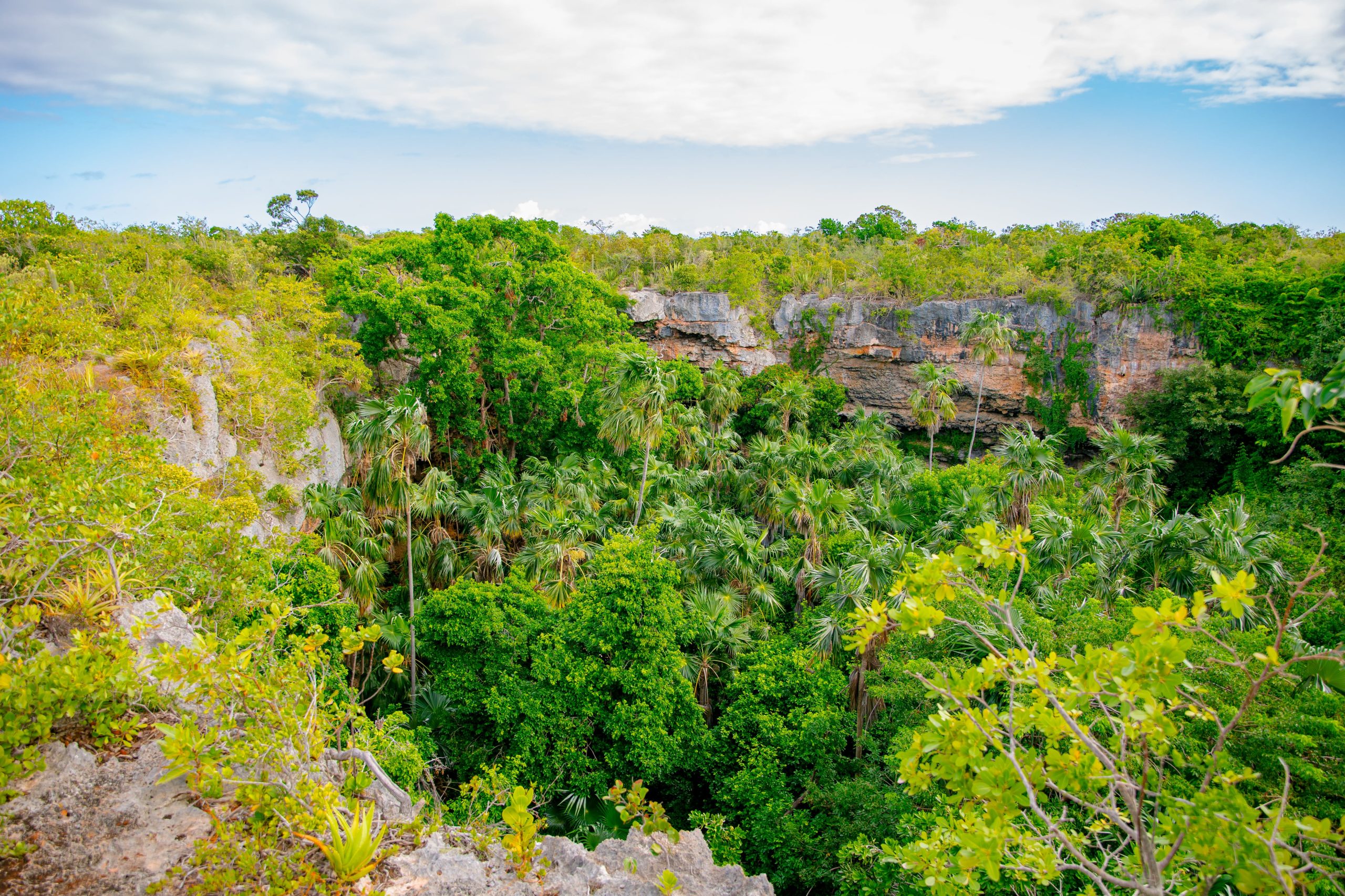 Barbuda Hiking To Darby Caves