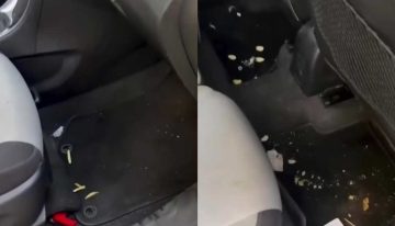 Le prestó una camioneta a Morena Rial y asegura que todo terminó de la peor manera: “Había plumas de gallina”