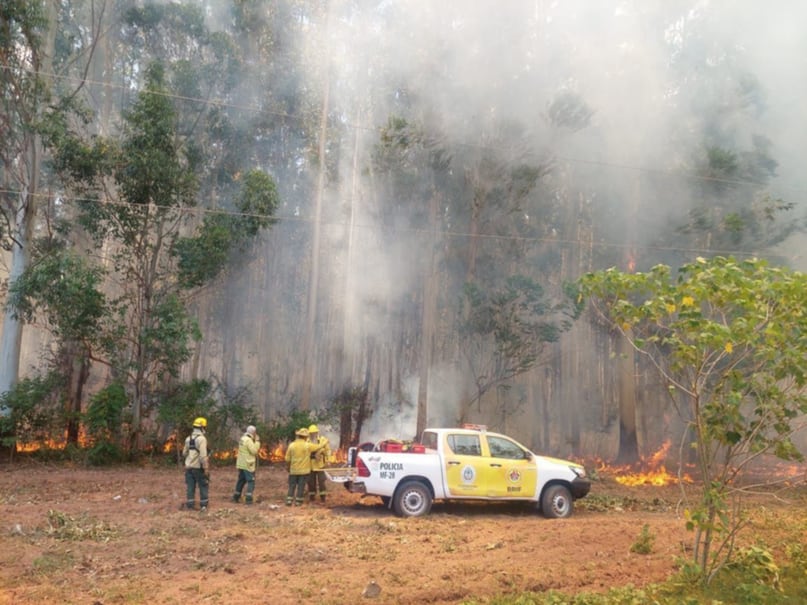 Los incendios en Corrientes continúan devastando miles de hectáreas en medio de una severa sequía. (Foto: Gobierno de Corrientes).