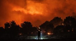 Neuquén registra el incendio forestal más grande de su historia y el viento complica las tareas para combatirlo