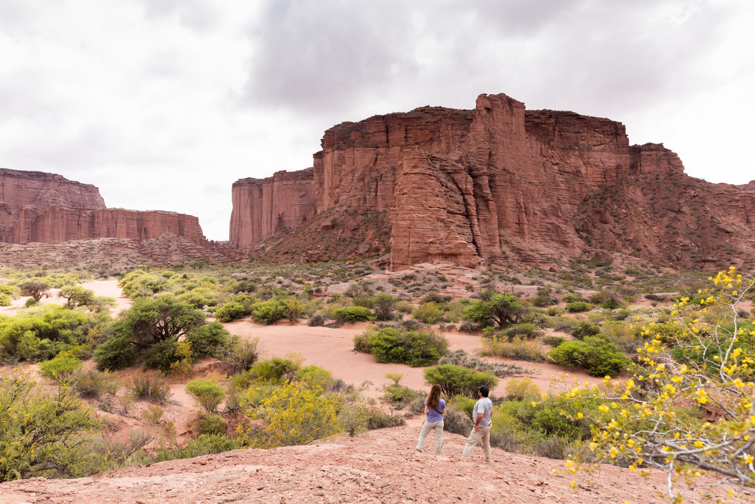 Los miradores de la Quebrada de Don Eduardo ofrecen vistas únicas.