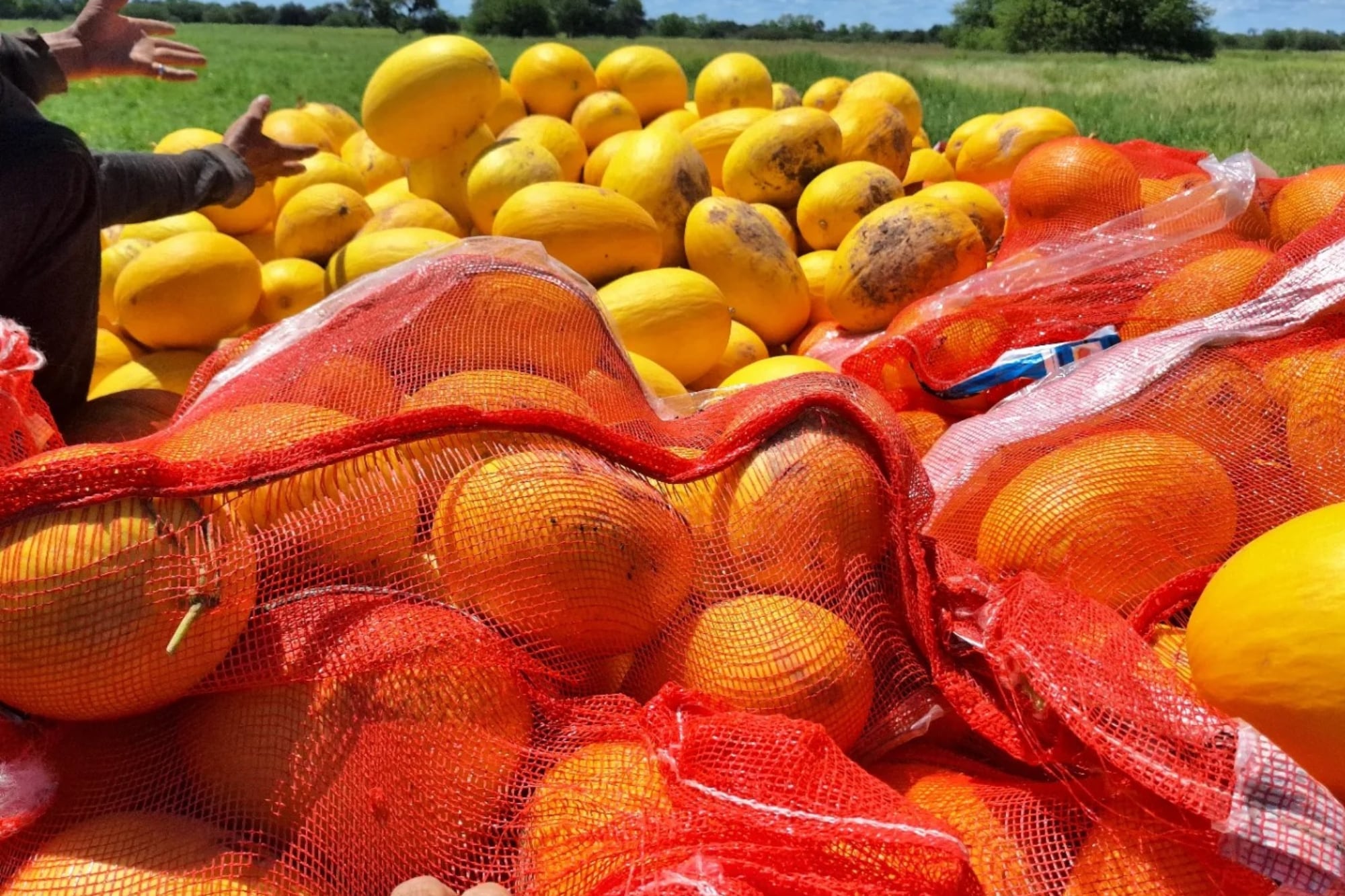 Los empaques que tenían las frutas incluso de gran tamaño