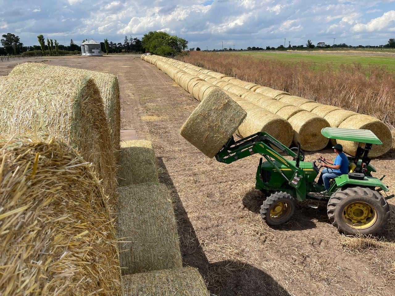 También se incluyen rollos de cola de cosechadora de avena, cebada o triticale como fuentes de fibra, más núcleo vitamínico y mineral