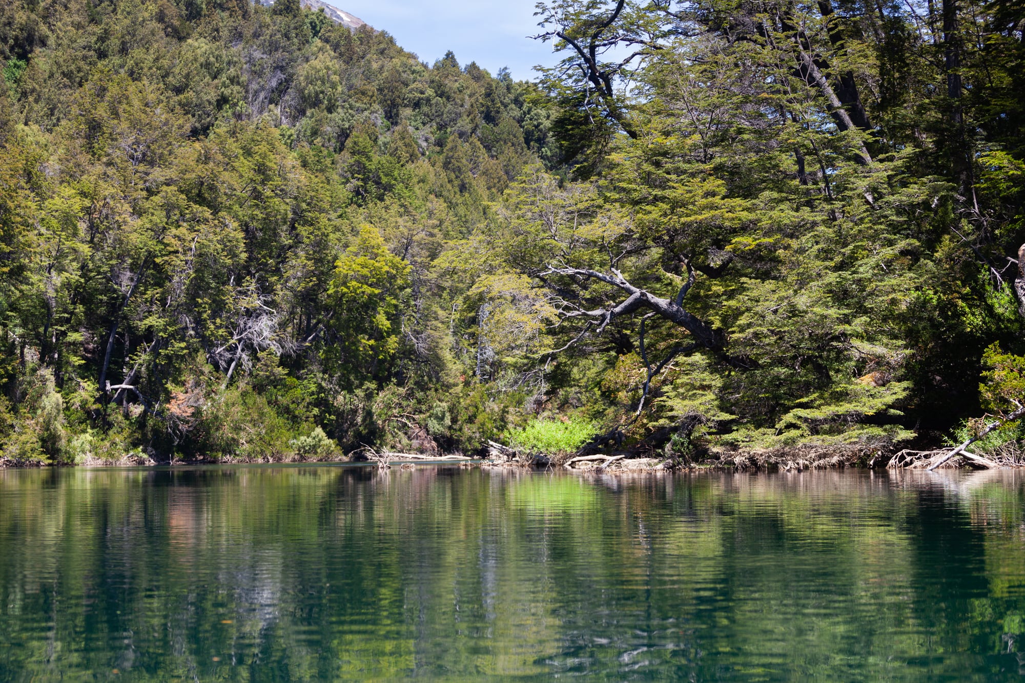 El turquesa del río Arrayanes.