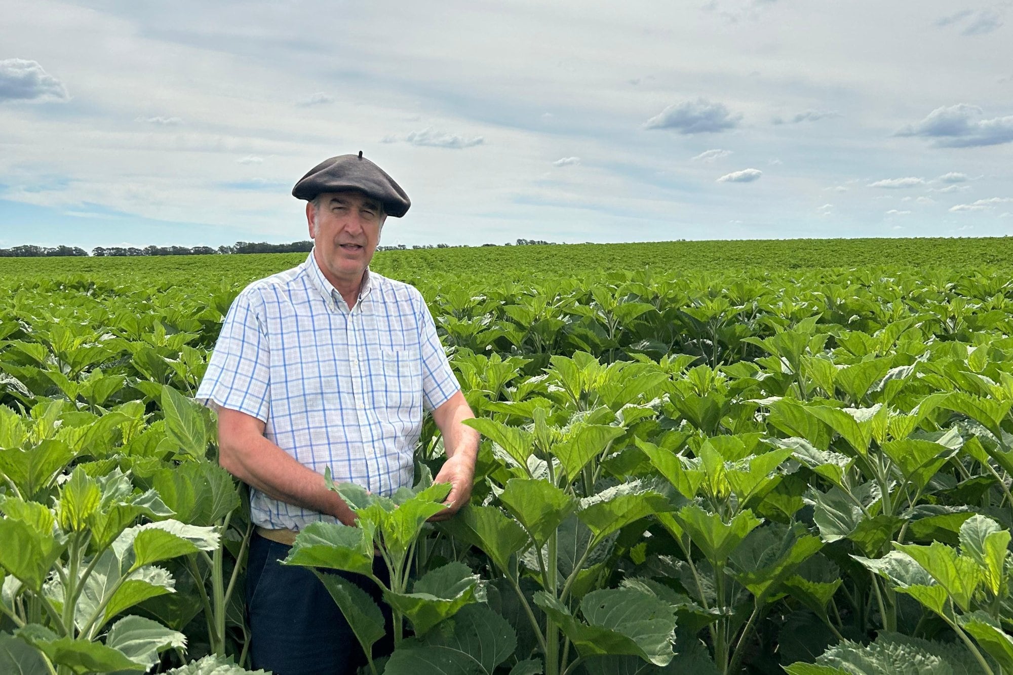 José María Berreta, productor de La Pampa, que implementa un modelo de integración entre la agricultura y la ganadería