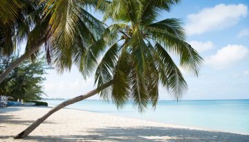 Un potente terremoto sacudió el mar Caribe y generó un alerta de tsunami que fue levantada horas después