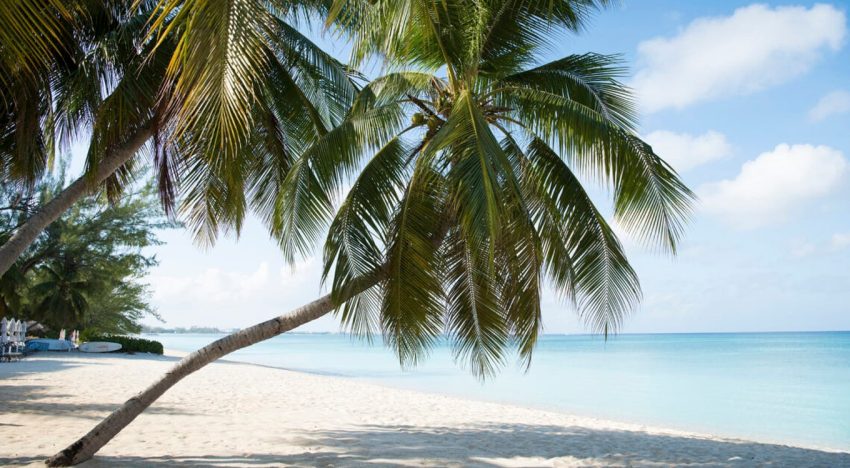 Un potente terremoto sacudió el mar Caribe y generó un alerta de tsunami que fue levantada horas después