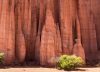 El parque nacional que alucina con sus paredones rojizos de más de 250 millones de años