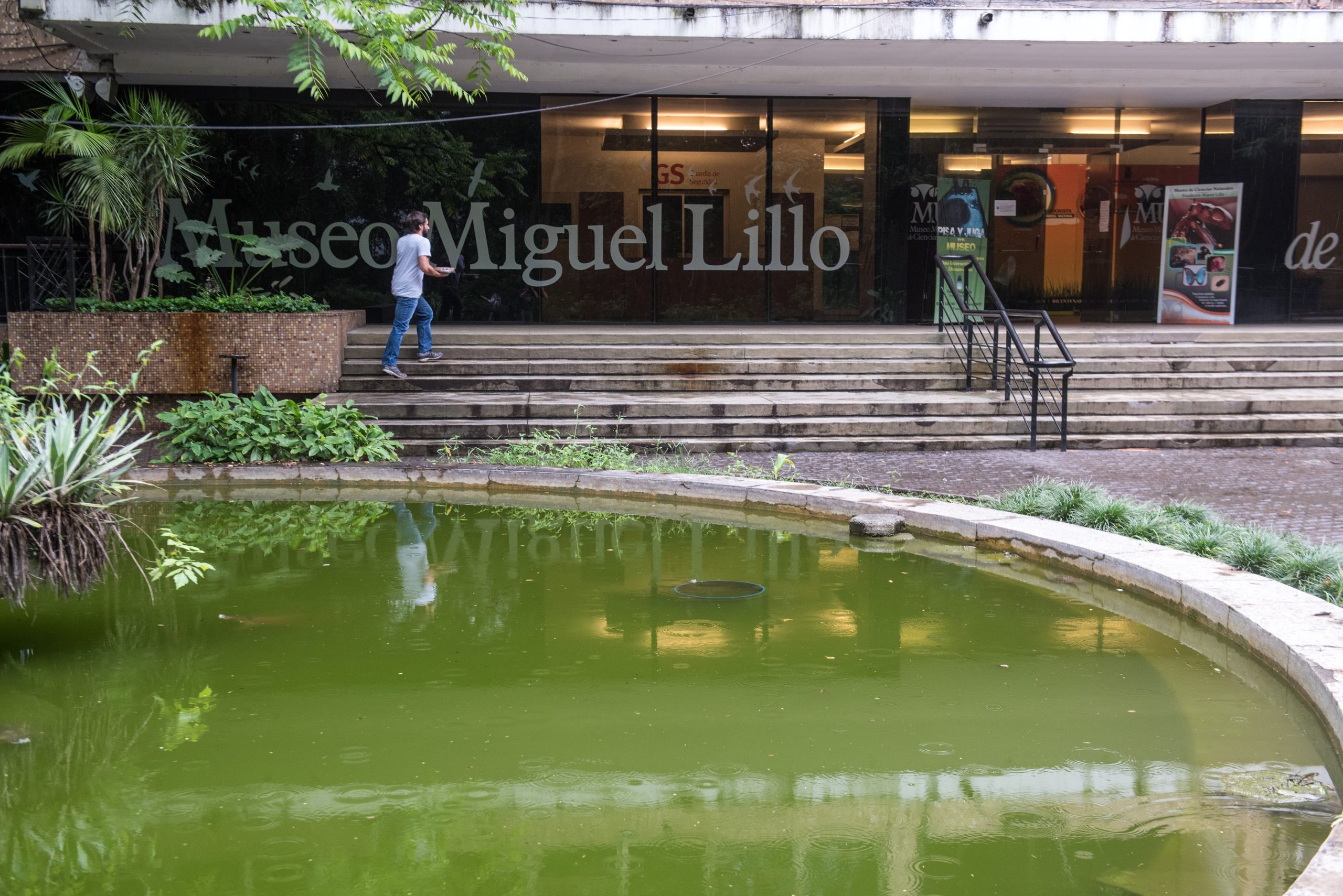 El Museo Miguel Lillo es visita fundamental en Tucumán. 