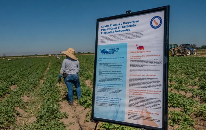 Las redadas no solo han expuesto la fragilidad del sistema agrícola, sino también la tensión entre las políticas migratorias y las necesidades económicas del país