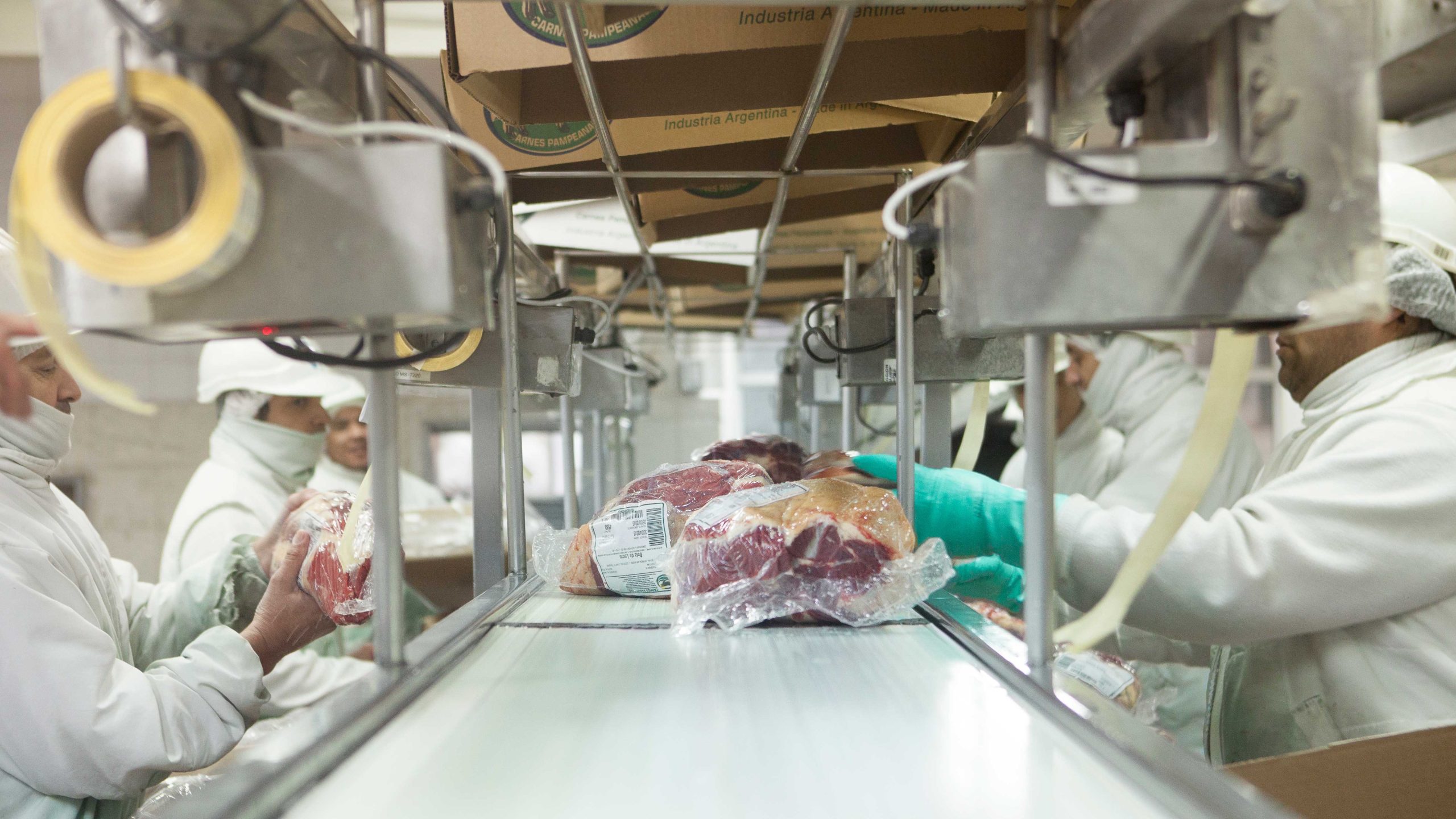 El bife ancho, uno de los cortes más apreciados de la carne vacuna argentina, destacó en las exportaciones debido a su calidad y sabor, siendo especialmente demandado en mercados internacionales como la Unión Europea y Estados Unidos. (Foto: SENASA).