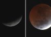 Eclipse total: así se vio la luna roja durante la madrugada en la Argentina