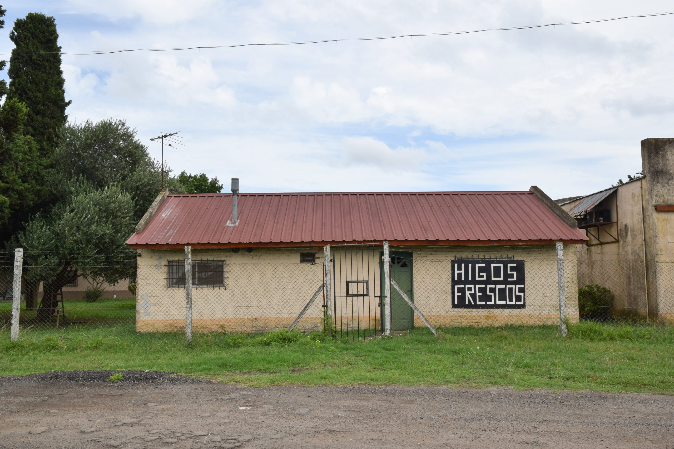 Los higos de Manuel se comercializan bajo la denominación “Laurilóes” y sólo se consiguen en su quinta y en algunos puntos de La Plata.