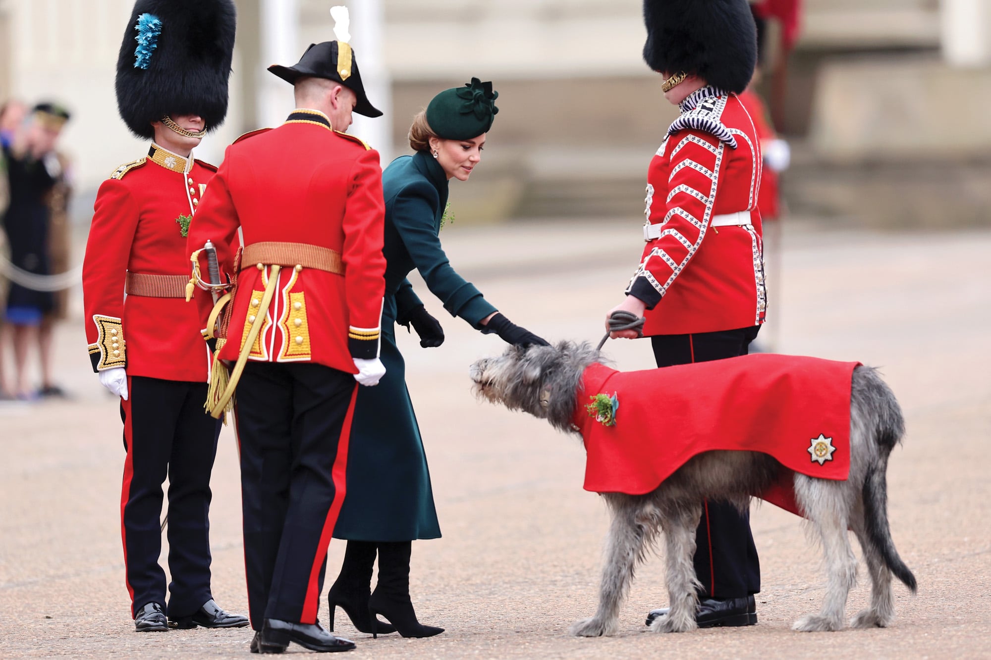 La princesa de Gales acarició a Turlough Mór, el viejo perro lobo irlandés del regimiento.