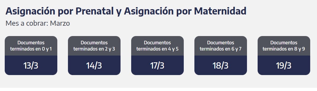 Cuándo cobro la Asignación por Prenatal y la Asignación por Maternidad en marzo. (Foto: ANSES)