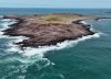 Viaje a la región patagónica que deslumbró a Charles Darwin por los paisajes y la fauna