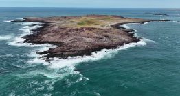 Viaje a la región patagónica que deslumbró a Charles Darwin por los paisajes y la fauna