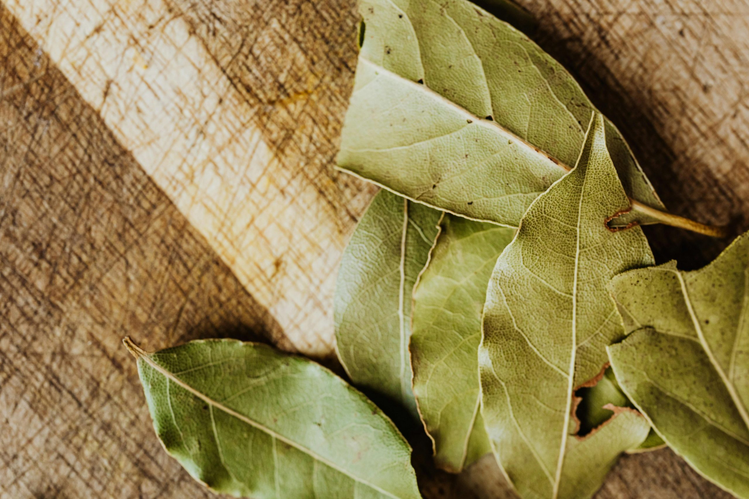 Se cree que las hojas de laurel protegen contra energías negativas y malas influencias