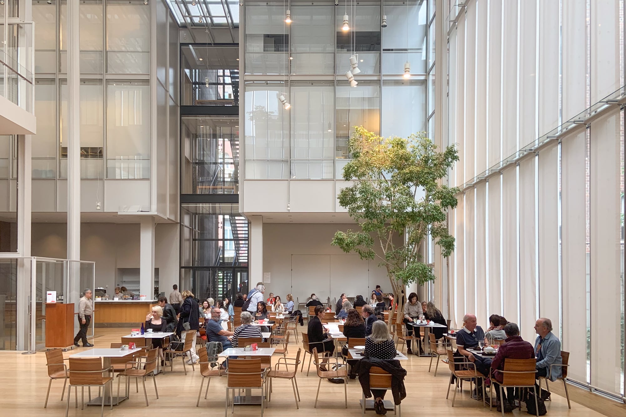 Cafetería de la Morgan Library en la ampliación del arquitecto Renzo Piano.