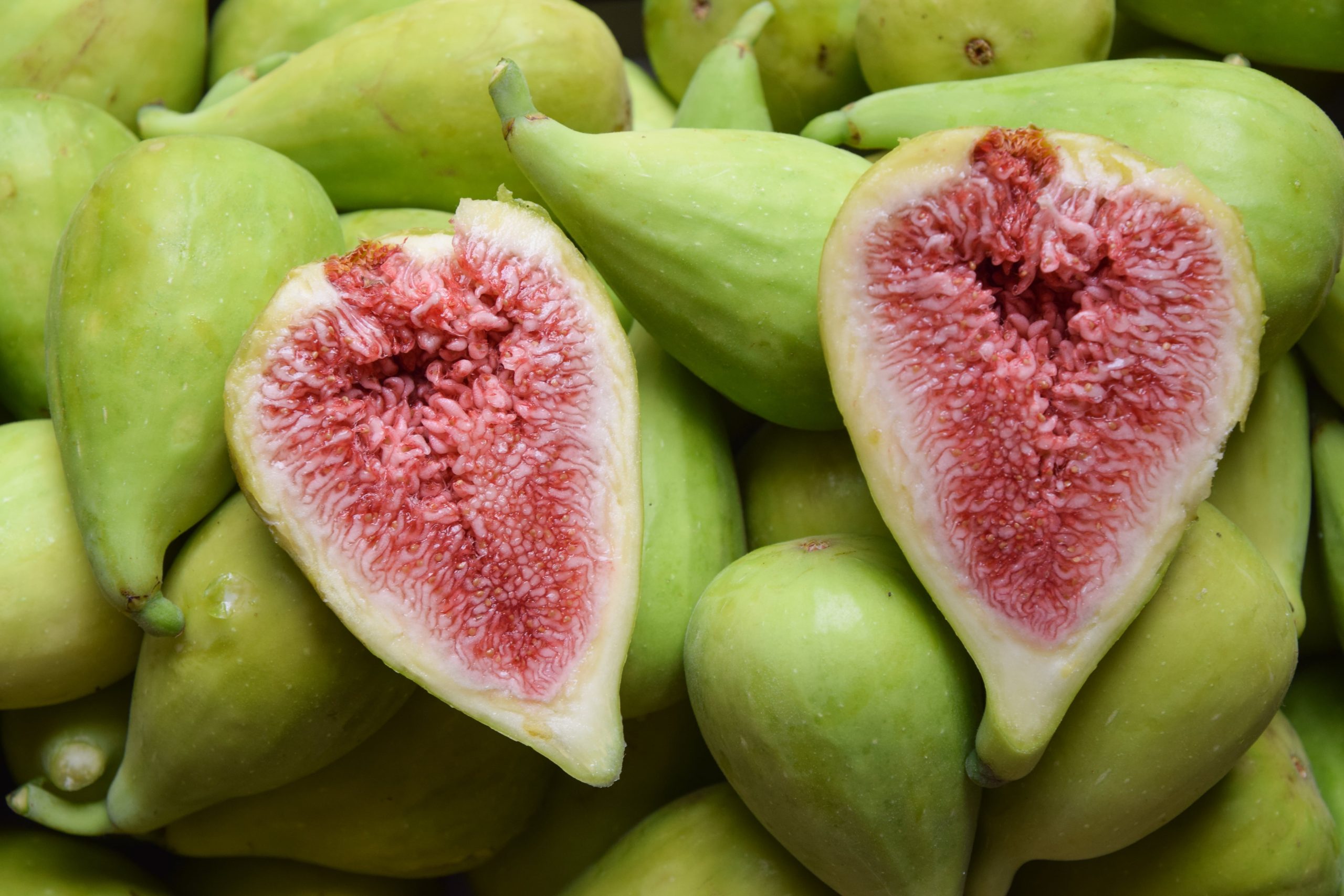 Higos grandes, dulces y carnosos de una  variedad llamada Dalmacia son los que produce.