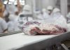 Récord en exportaciones de carne vacuna: Argentina superó las 900 mil toneladas