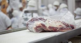 Récord en exportaciones de carne vacuna: Argentina superó las 900 mil toneladas