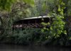 El refugio de lujo montado en uno de los últimos retazos de selva virgen del país