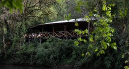 El refugio de lujo montado en uno de los últimos retazos de selva virgen del país