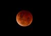 Cuándo es el eclipse lunar “Luna de Sangre”: así se verá en la Argentina