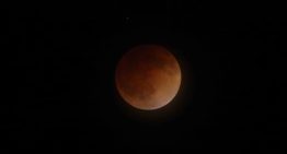 Eclipse lunar total en la Argentina: cuándo será y cómo se podrá ver