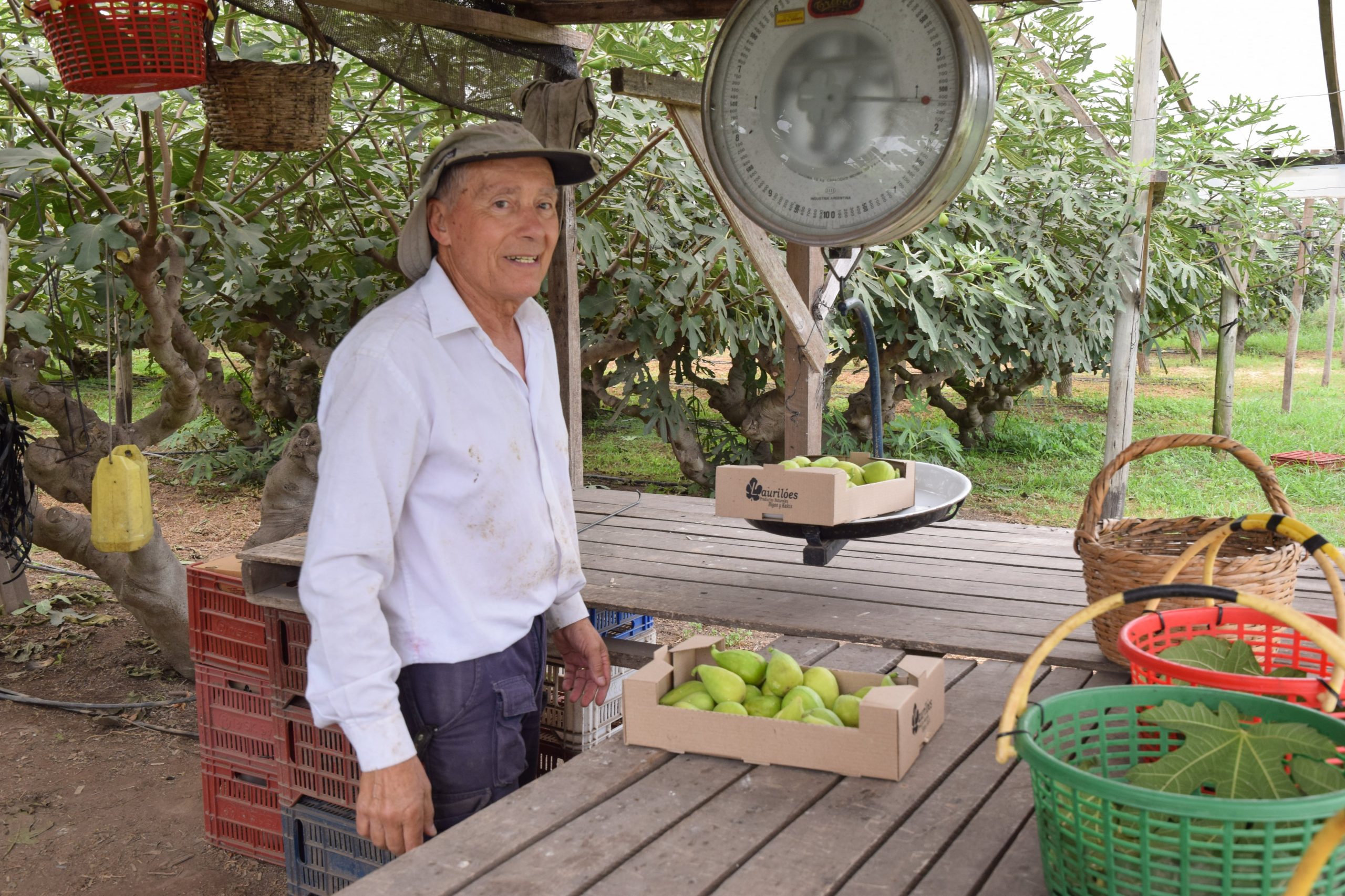 A su campo se acercan turistas y cocineros reconocidos, como Narda Lepes, que valoran su producción artesanal.