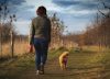 Ni a las 11 ni a las 16: esta es la peor hora para sacar a pasear a tu perro en invierno, según los expertos