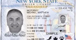 Diferencias entre una licencia de conducir mejorada y la Real ID en Estados Unidos