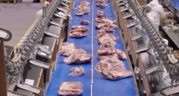 “Socios en las desgracias”: el frigorífico que ganó el mejor bife del mundo despidió a 100 empleados por un contexto difícil para el negocio